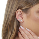 Trio de Pino Estrela P de Prata