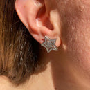 Brinco Estrela Shine