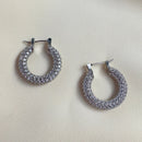 Brinco Argola Cravejado